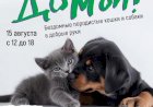 Подарок от Брижит Бардо: на фестивале «Домой» зоозащитникам вручат книгу от легендарной актрисы