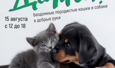 Подарок от Брижит Бардо: на фестивале «Домой» зоозащитникам вручат книгу от легендарной актрисы