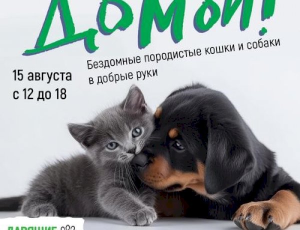 Подарок от Брижит Бардо: на фестивале «Домой» зоозащитникам вручат книгу от легендарной актрисы