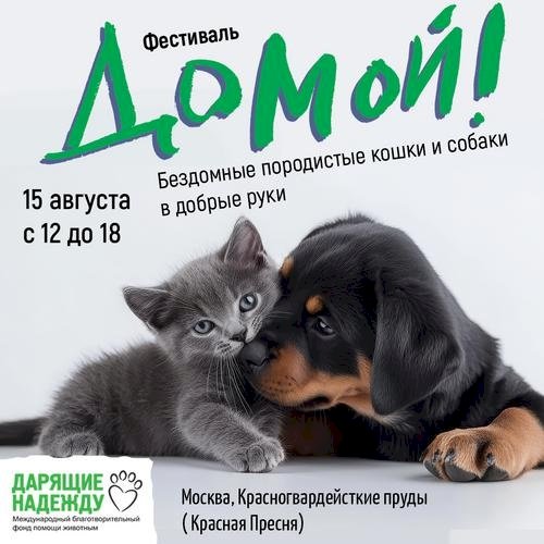 Подарок от Брижит Бардо: на фестивале «Домой» зоозащитникам вручат книгу от легендарной актрисы